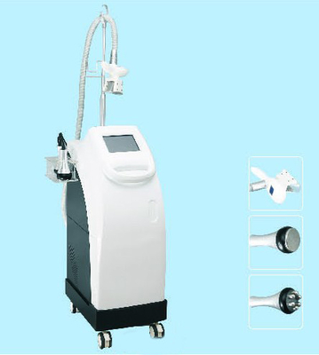 Сало замерзая холодная ваяя машина Cryolipolysis для уменьшения тела/стороны