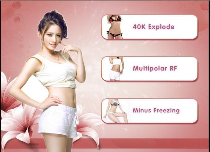 Китай 3 в 1 поставщике машины красотки веса Cryolipolysis тучном замерзая потерянном